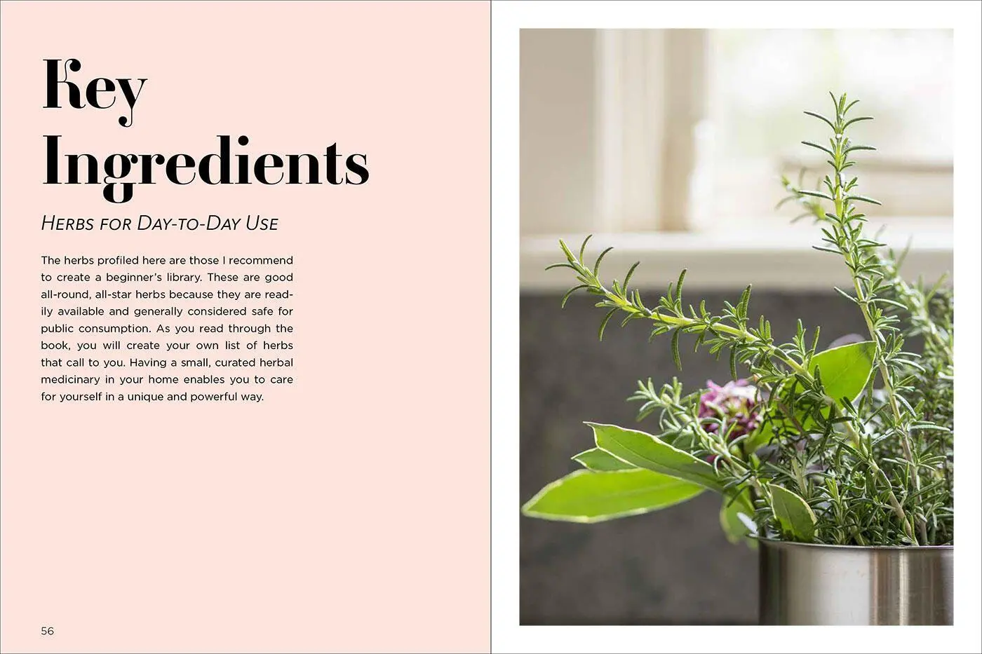 Bild: 9781643260679 | Medicinal Herbs for Family Health and Wellness | Jj Pursell | Buch