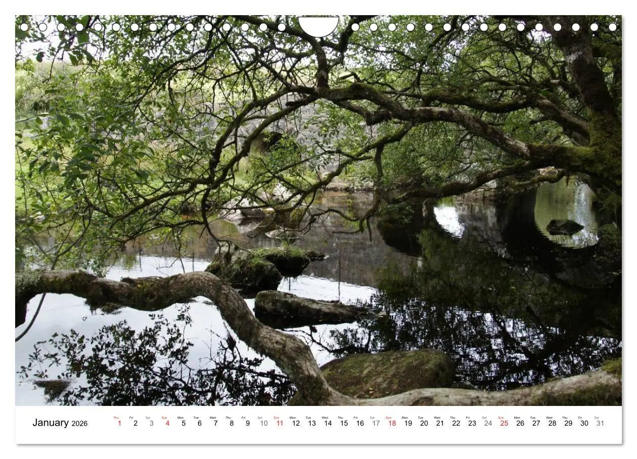 Bild: 9783516580679 | Charming - Mystic Devon Dartmoor, South England (Wall Calendar 2026...