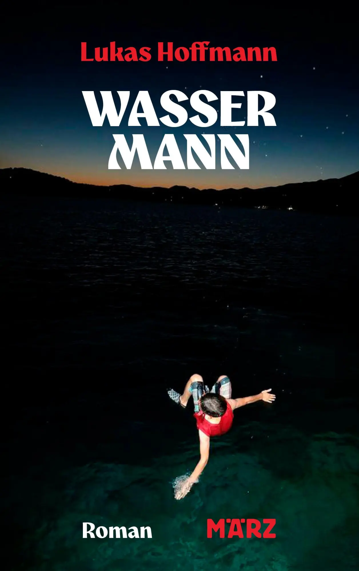 Cover: 9783755000679 | Wassermann | Roman Fürsorge als radikalste Form von Widerstand | Buch