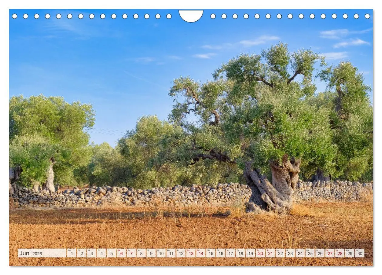 Bild: 9783457310779 | Faszinierendes Apulien (Wandkalender 2026 DIN A4 quer), CALVENDO...