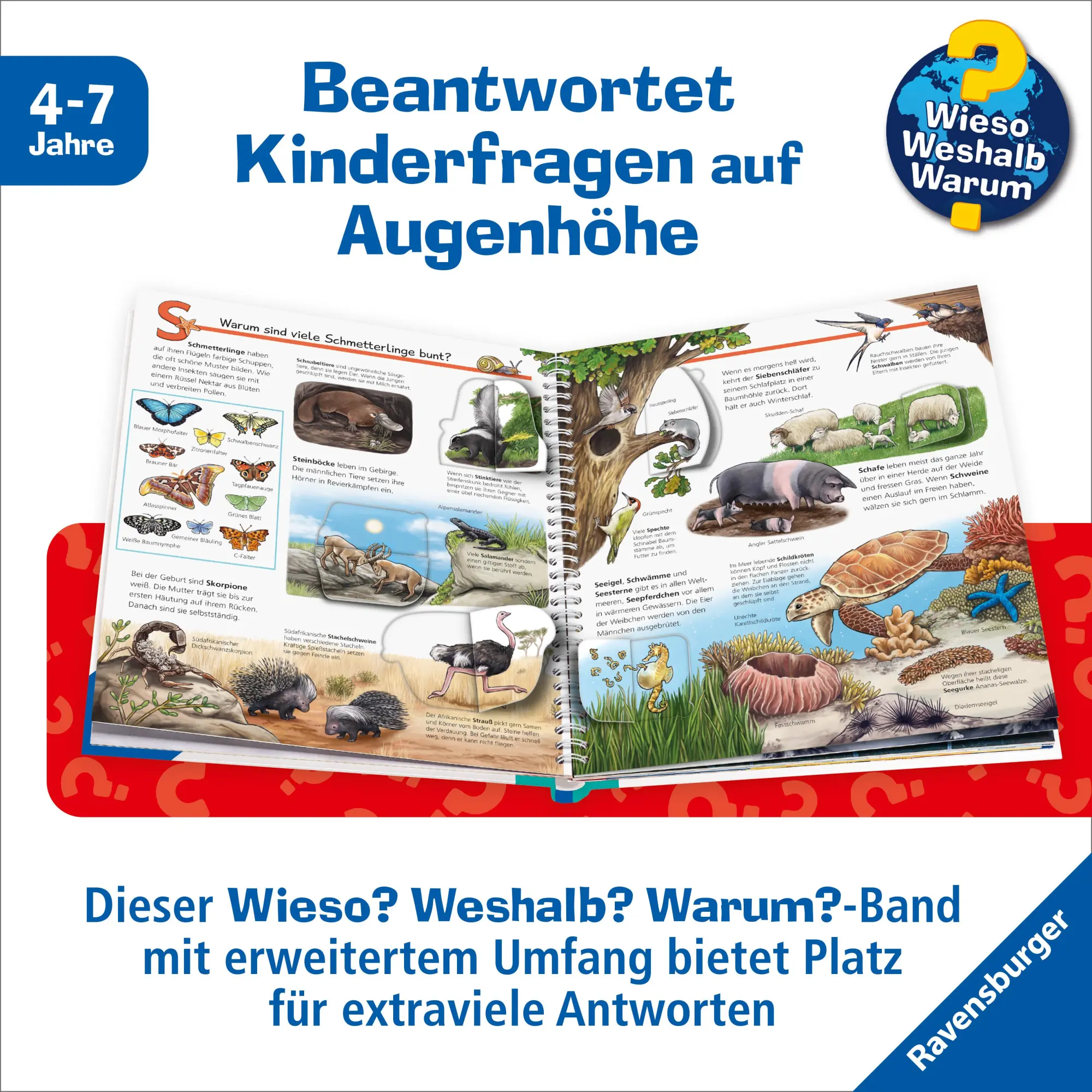 Bild: 9783473600779 | Wieso? Weshalb? Warum? Sonderband - Mein ABC der Tiere | Gernhäuser