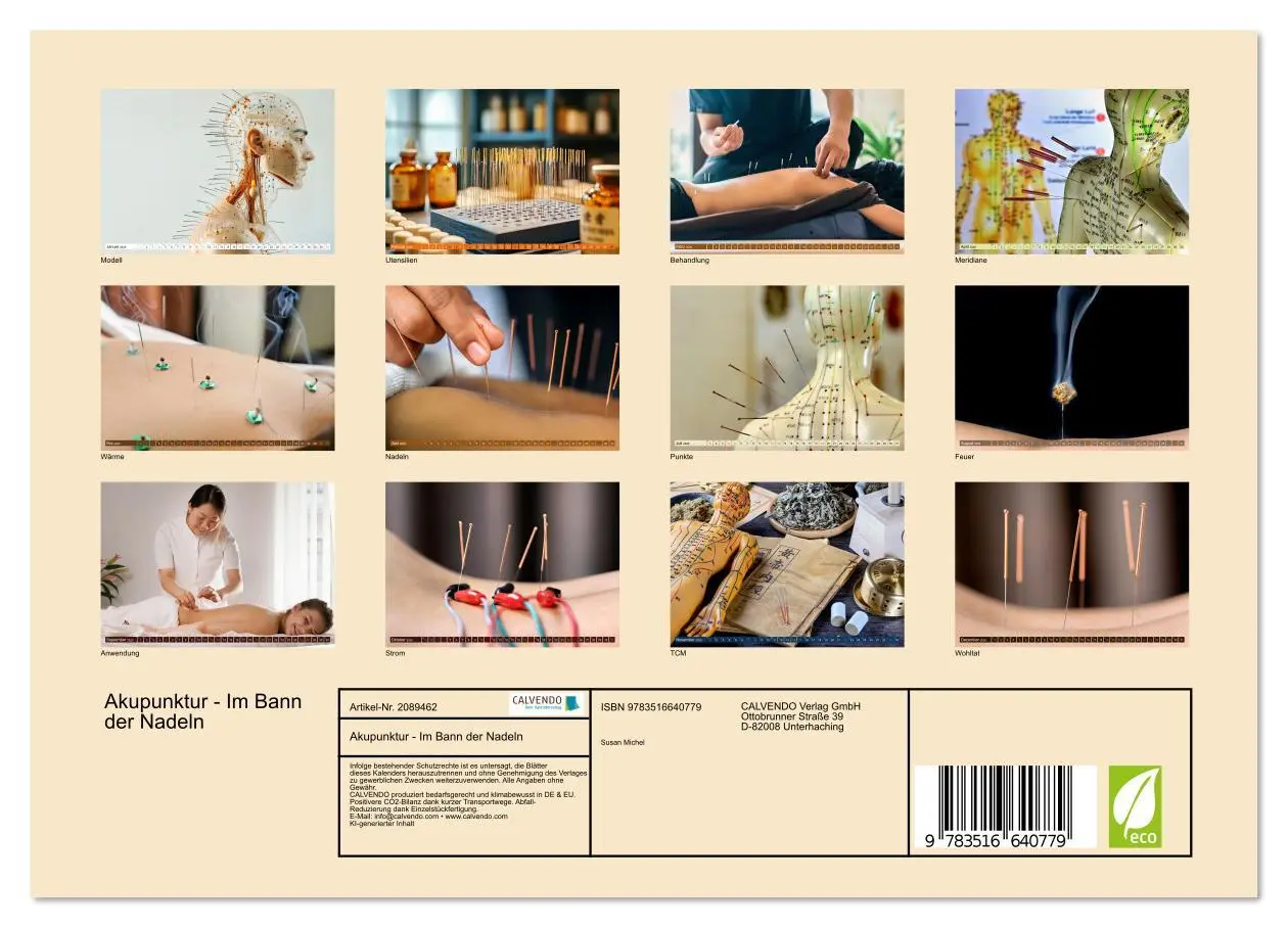 Bild: 9783516640779 | Akupunktur - Im Bann der Nadeln (Wandkalender 2026 DIN A4 quer),...