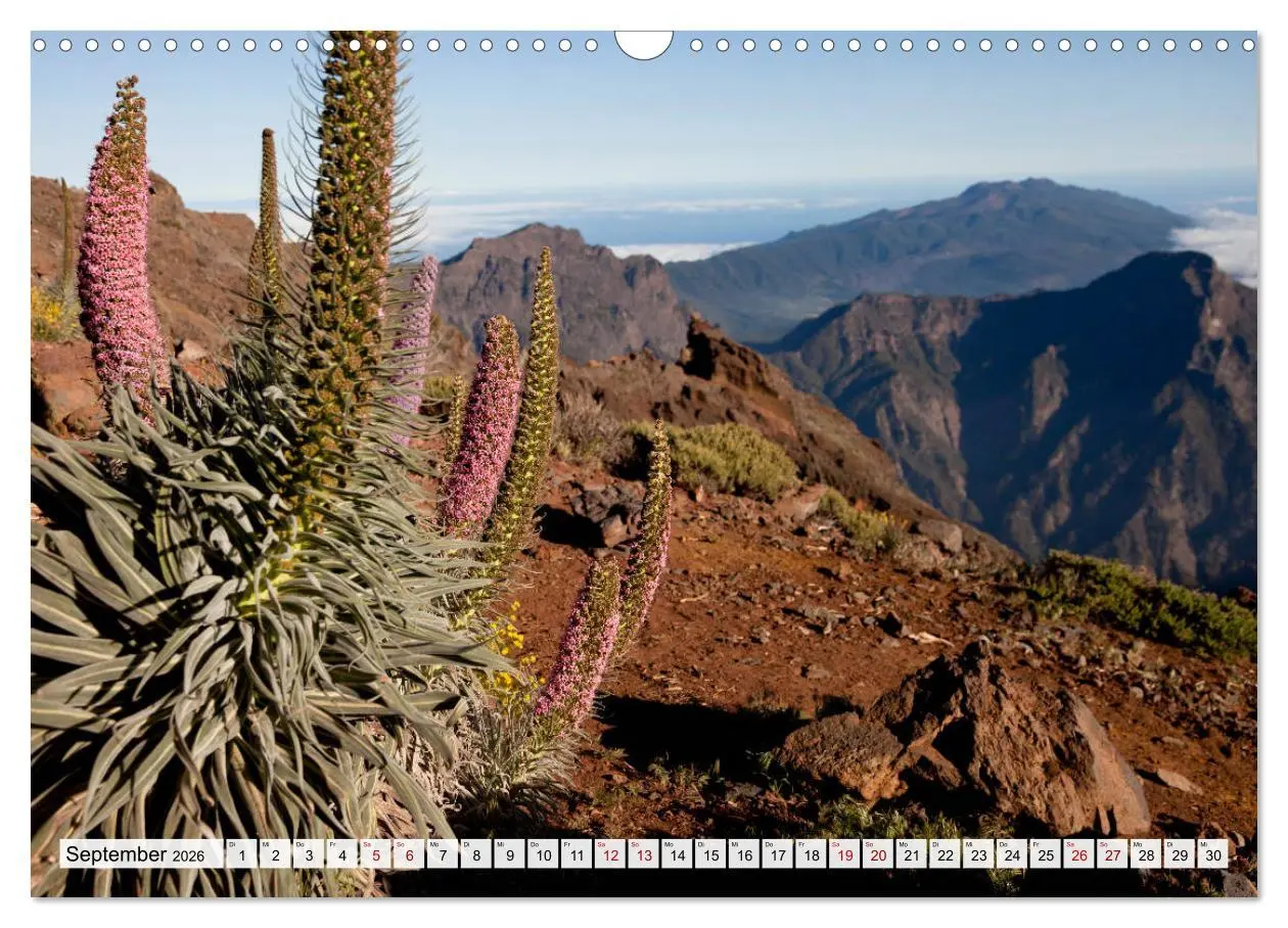 Bild: 9783457920879 | Landschaften der Kanarischen Inseln. (Wandkalender 2026 DIN A3...
