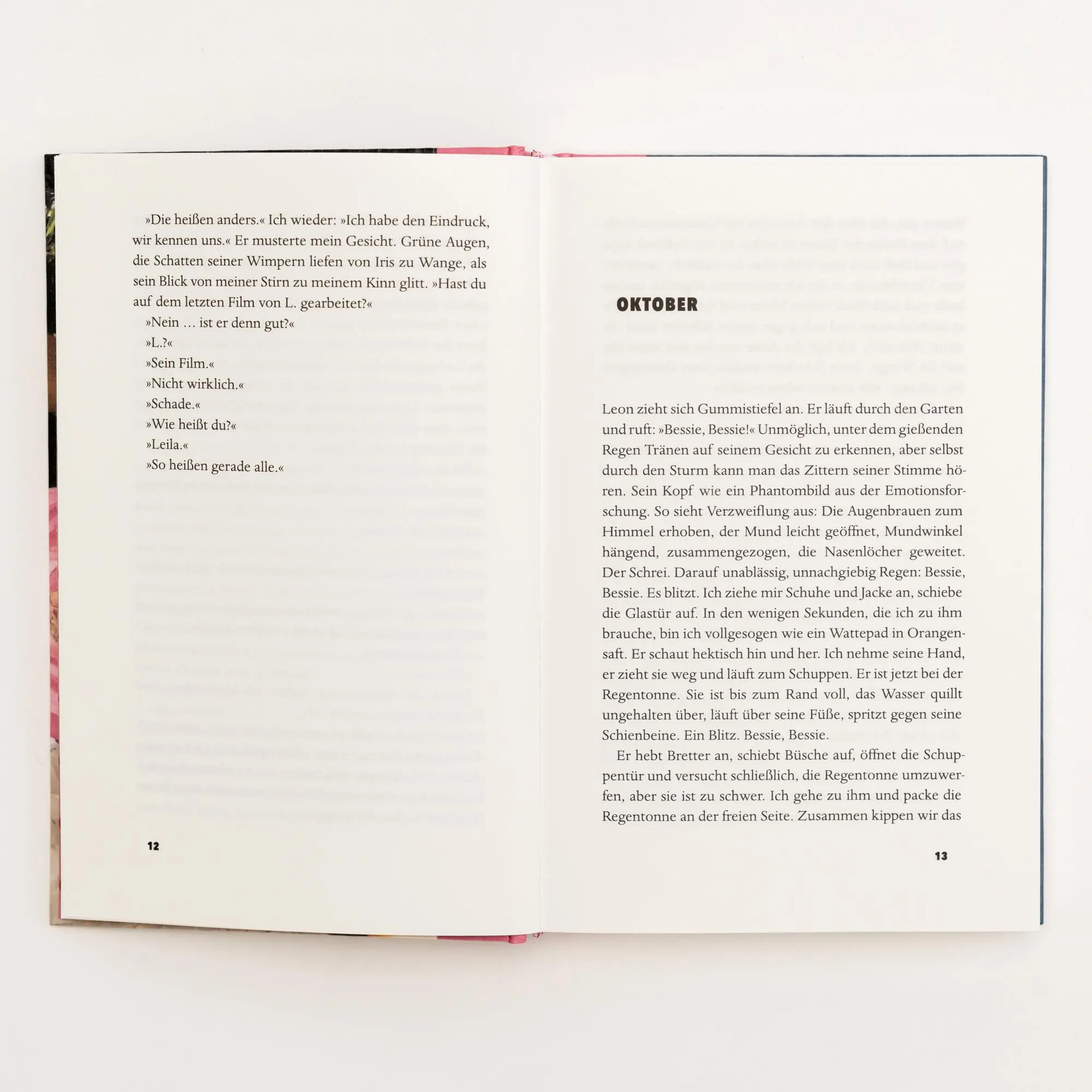 Bild: 9783753000879 | Nichts in den Pflanzen | Nora Haddada | Buch | 237 S. | Deutsch | 2023