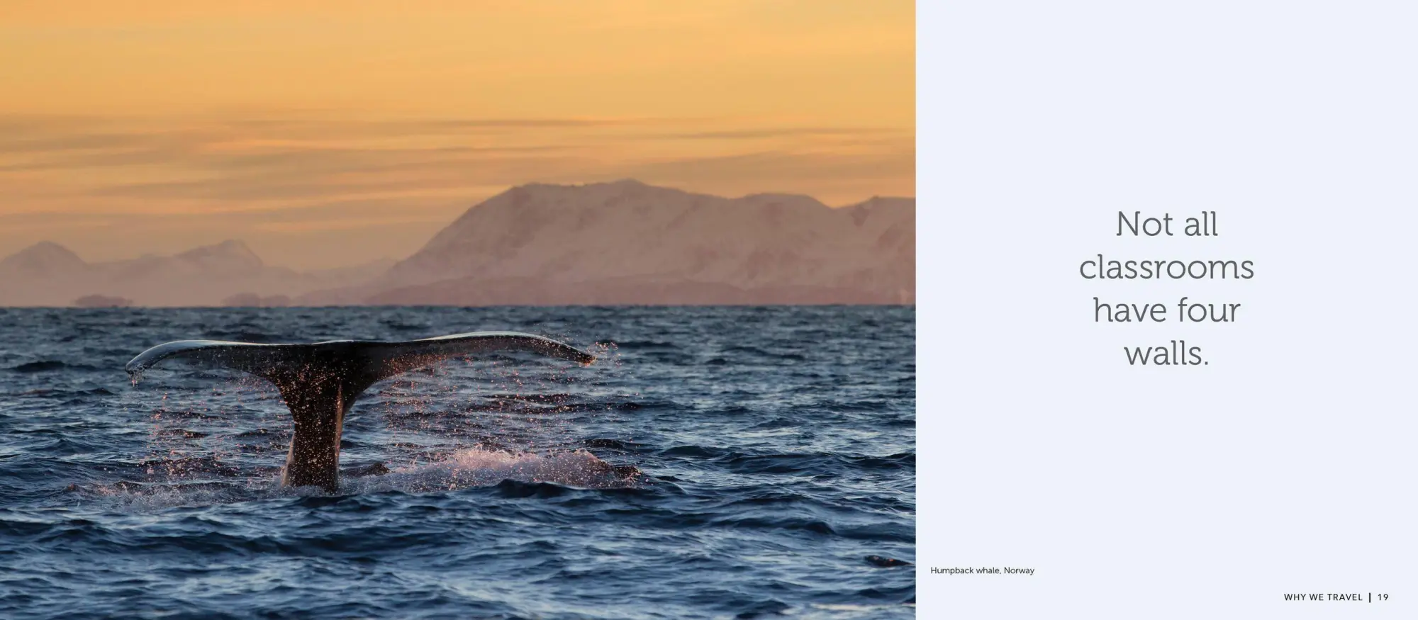 Bild: 9781523510979 | Why We Travel | 100 Reasons to See the World | Patricia Schultz | Buch