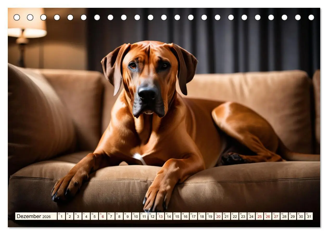 Bild: 9783457390979 | Rhodesian Ridgeback - Athlet mit Rückenkamm (Tischkalender 2026 DIN...