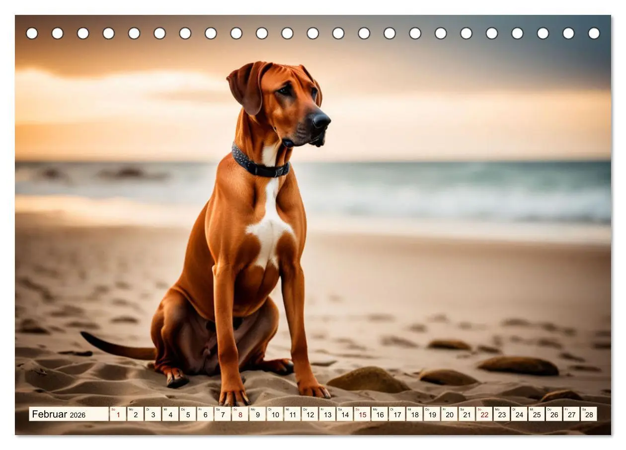 Bild: 9783457390979 | Rhodesian Ridgeback - Athlet mit Rückenkamm (Tischkalender 2026 DIN...