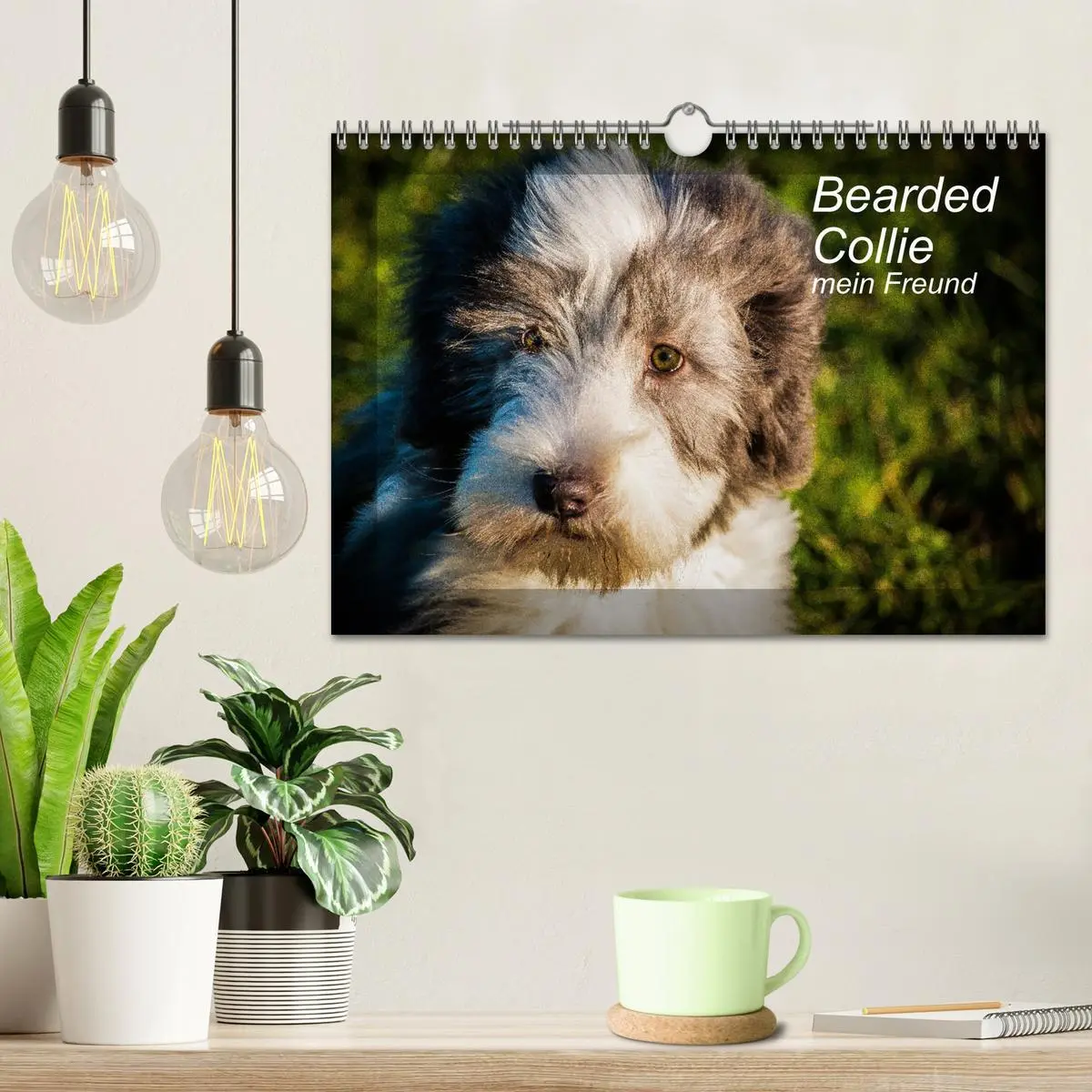 Bild: 9783457840979 | Bearded Collie, mein Freund (Wandkalender 2026 DIN A4 quer),...