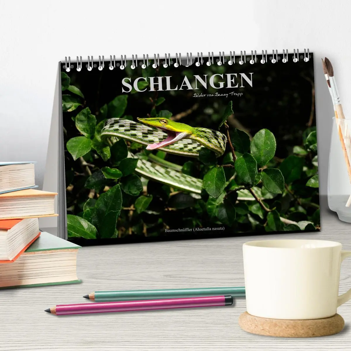 Bild: 9783516170979 | Schlangen (Tischkalender 2026 DIN A5 quer), CALVENDO Monatskalender