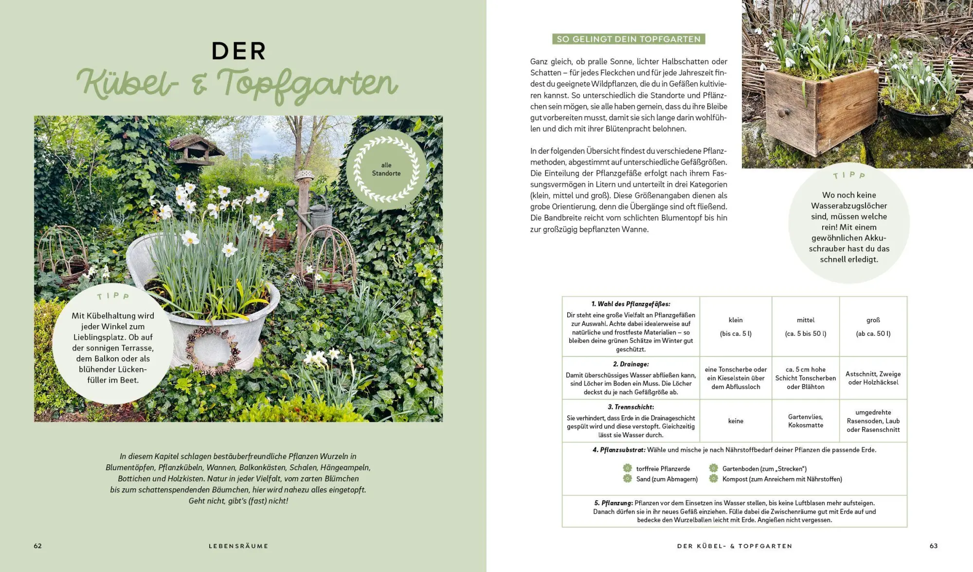 Bild: 9783745930979 | Mein wilder, bunter Garten - Einfach naturnah gärtnern | Silvia Hardt