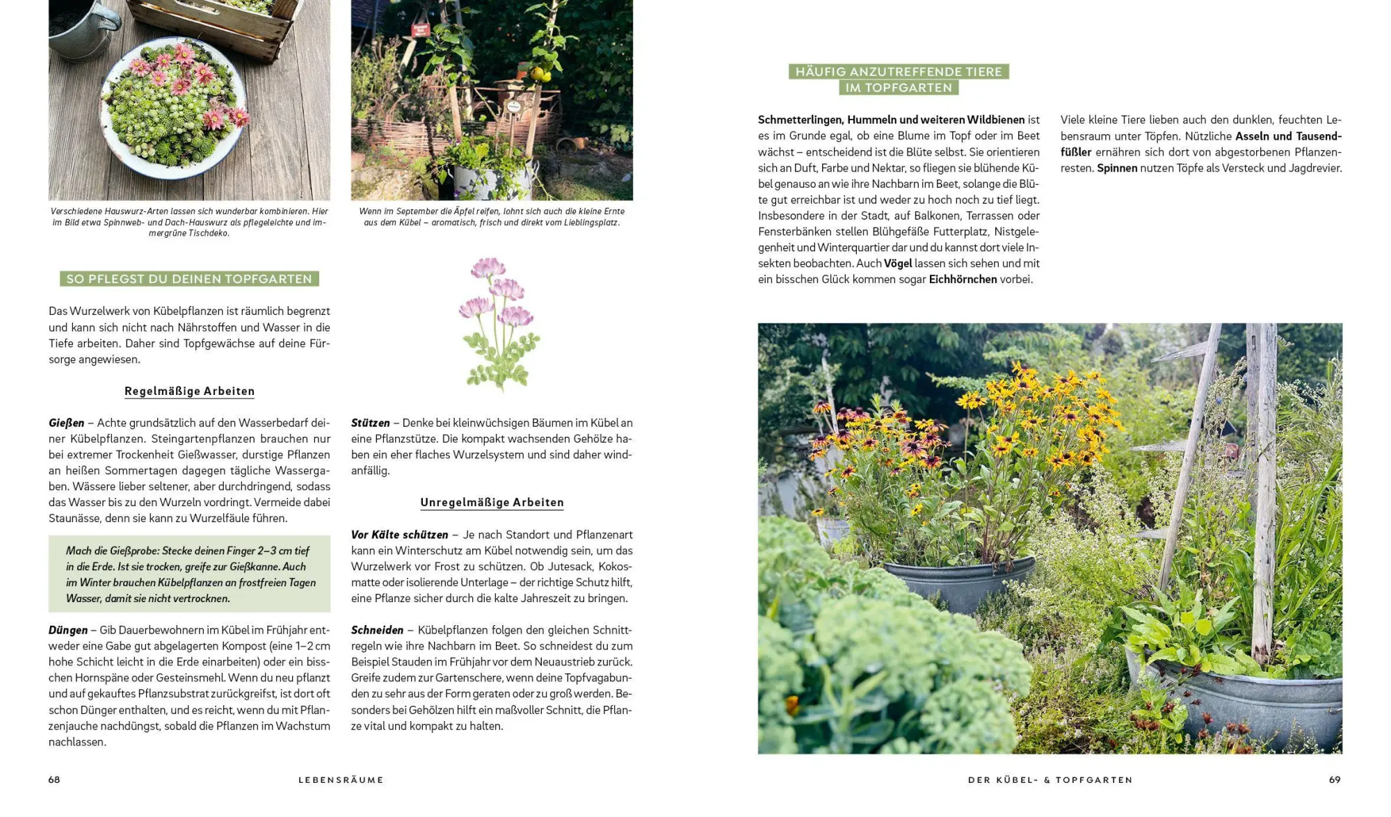 Bild: 9783745930979 | Mein wilder, bunter Garten - Einfach naturnah gärtnern | Silvia Hardt