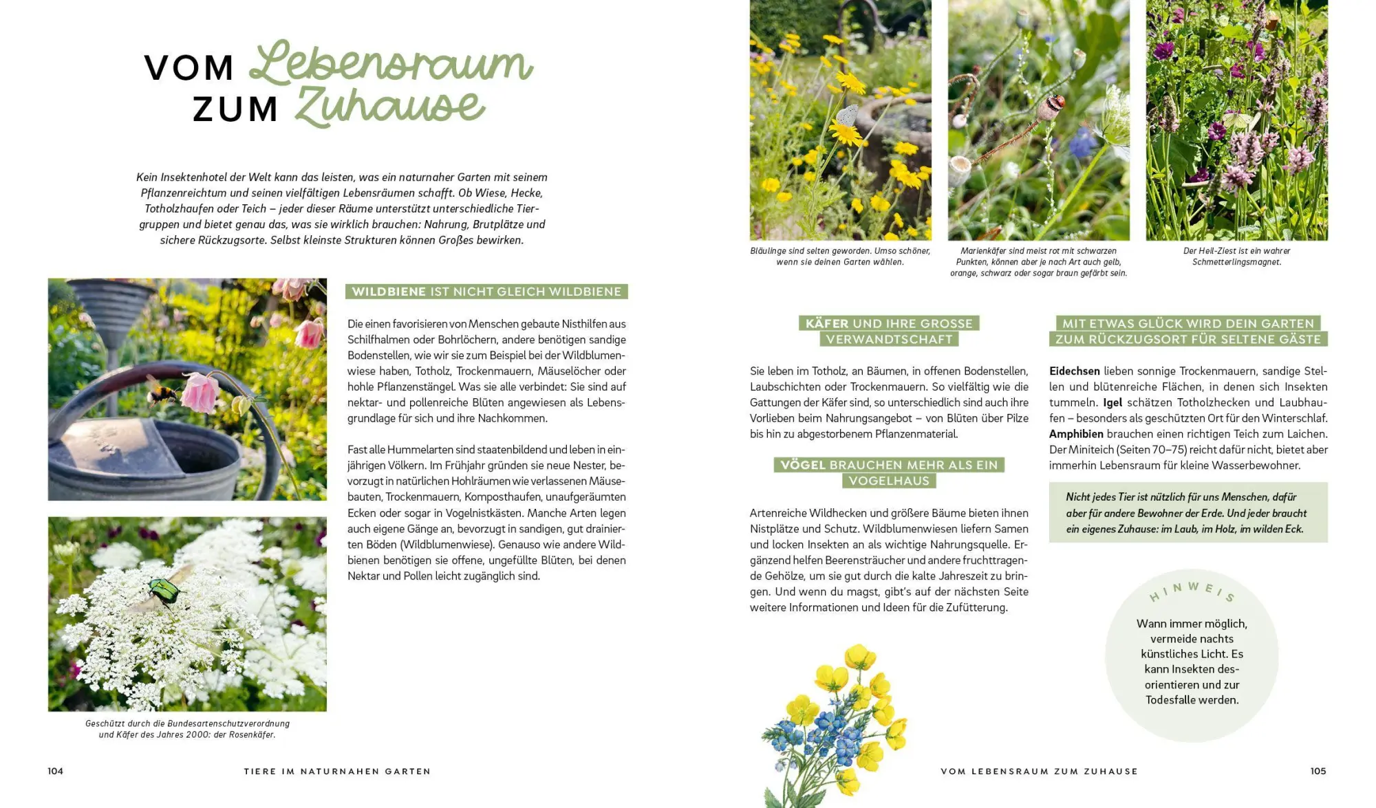 Bild: 9783745930979 | Mein wilder, bunter Garten - Einfach naturnah gärtnern | Silvia Hardt