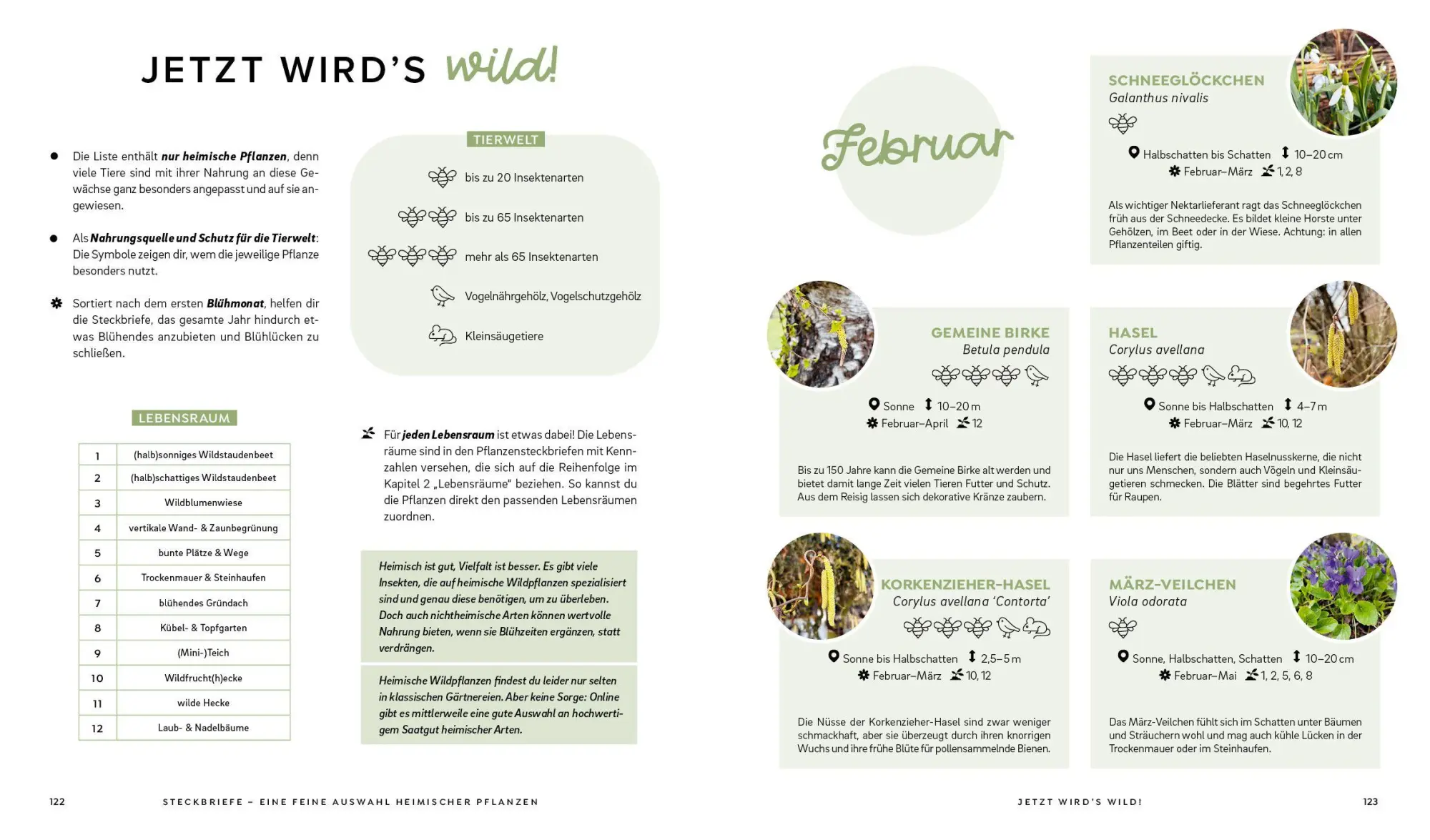 Bild: 9783745930979 | Mein wilder, bunter Garten - Einfach naturnah gärtnern | Silvia Hardt