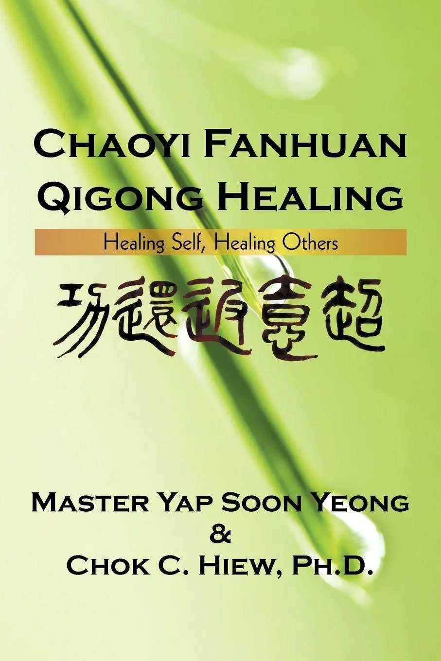 Cover: 9781440171079 | Chaoyi Fanhuan Qigong Healing | Healing Self, Healing Others | Buch