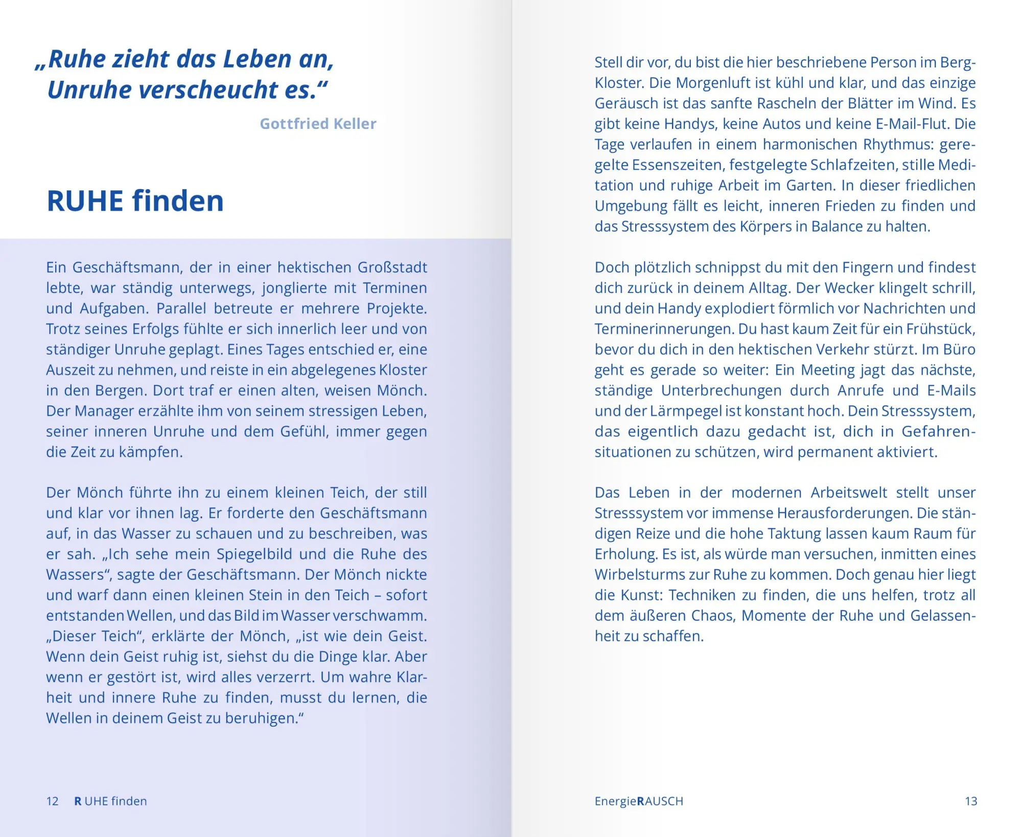 Bild: 9783964161079 | EnergieRAUSCH - Schluss mit Antriebslosigkeit, Stress und Sorgen