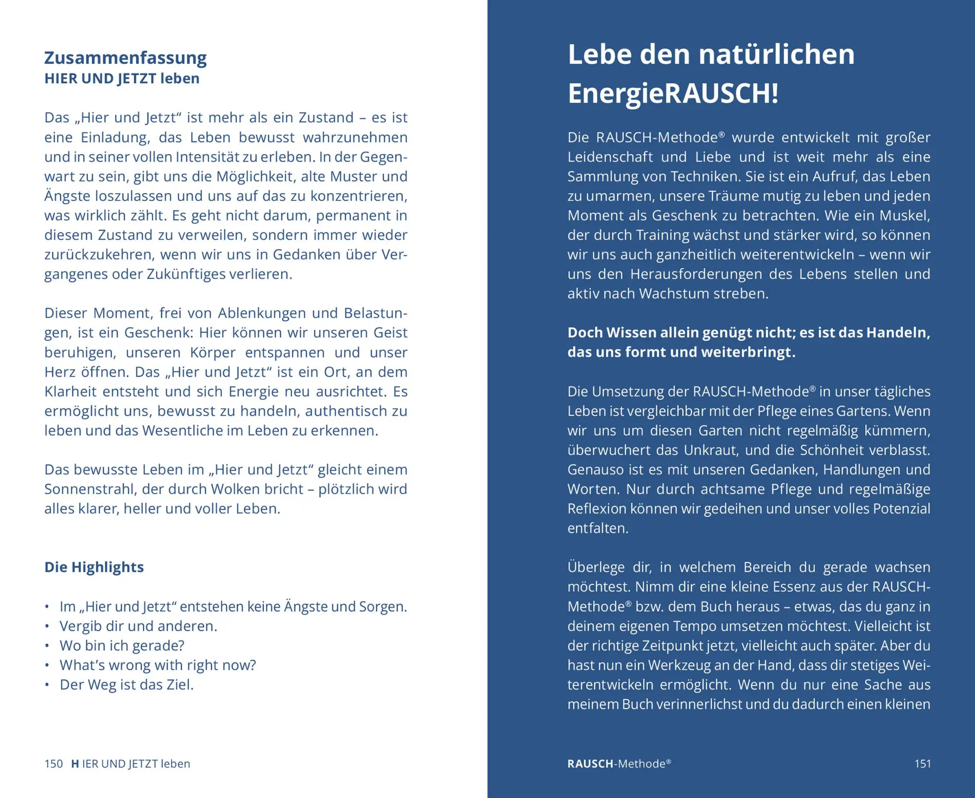 Bild: 9783964161079 | EnergieRAUSCH - Schluss mit Antriebslosigkeit, Stress und Sorgen