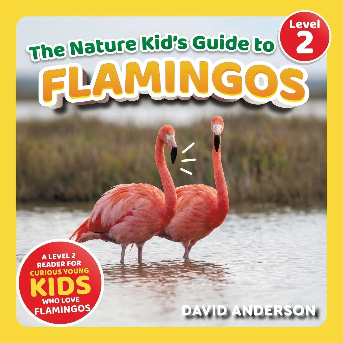 Cover: 9798898181079 | The Nature Kid's Guide to Flamingos | David Anderson | Taschenbuch