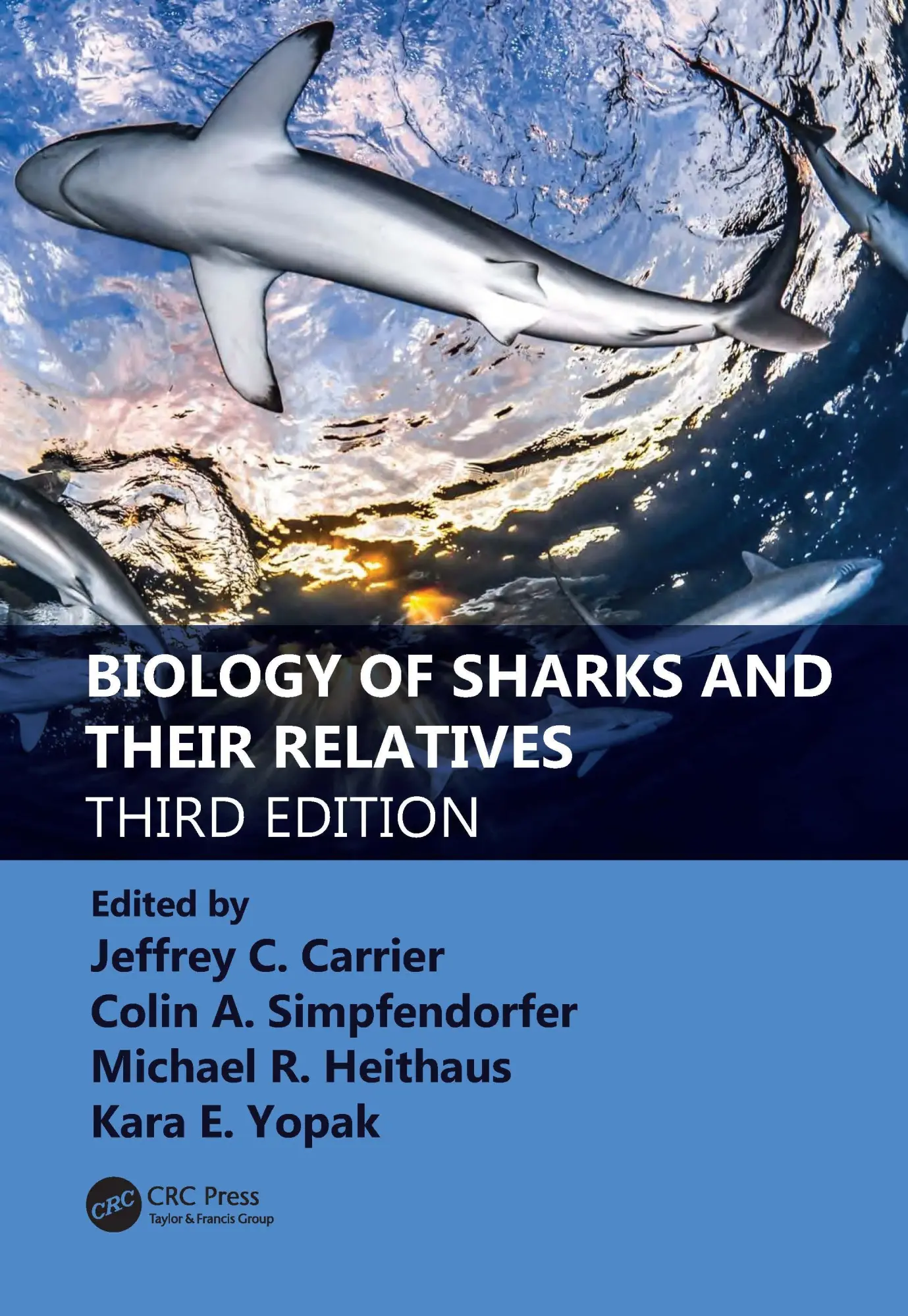 Cover: 9780367861179 | Biology of Sharks and Their Relatives | Colin A. Simpfendorfer (u. a.) Cover: 9780367861179 | Biology of Sharks and Their Relatives | Colin A. Simpfendorfer (u. a.)