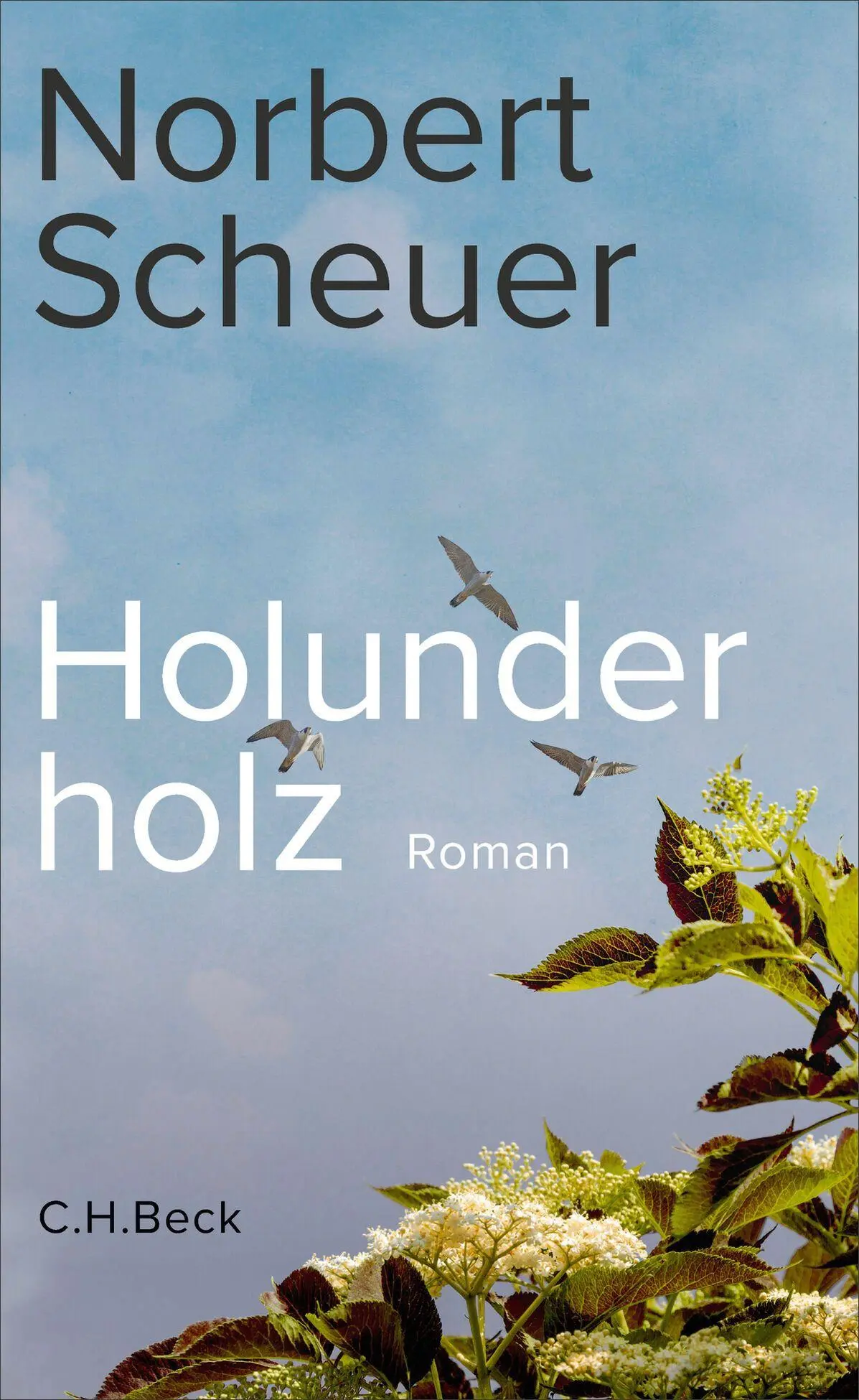 Cover: 9783406851179 | Holunderholz | Roman | Norbert Scheuer | Buch | 272 S. | Deutsch