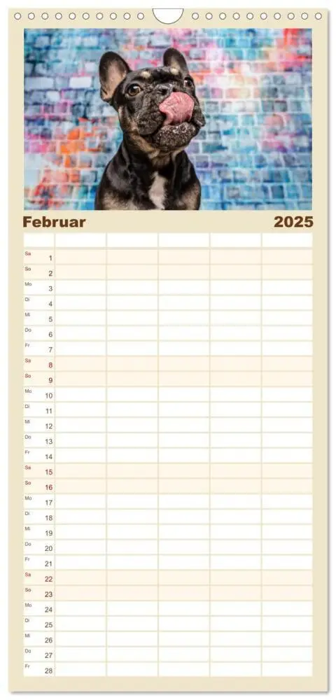 Bild: 9783457101179 | Familienplaner 2025 - Cool Dogs - Hunde-Spaß im Studio mit 5...