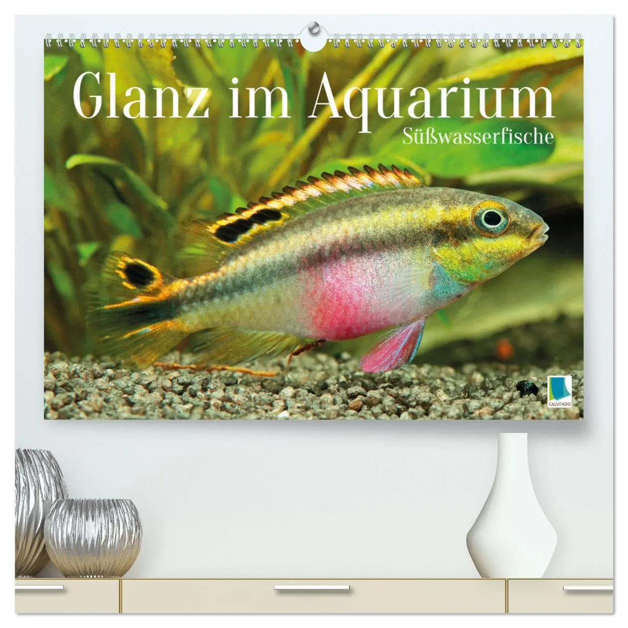 Cover: 9783457271179 | Glanz im Aquarium: Süßwasserfische (hochwertiger Premium...