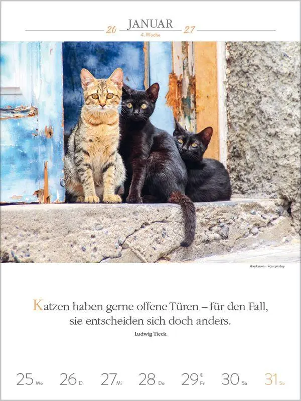 Bild: 9783819301179 | Literaturkalender Katzen 2027 | Korsch Verlag | Kalender | 54 S.