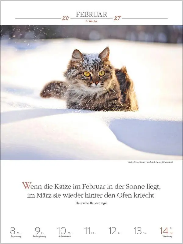 Bild: 9783819301179 | Literaturkalender Katzen 2027 | Korsch Verlag | Kalender | 54 S.