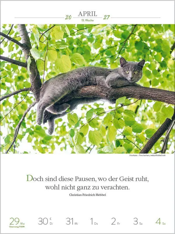 Bild: 9783819301179 | Literaturkalender Katzen 2027 | Korsch Verlag | Kalender | 54 S.