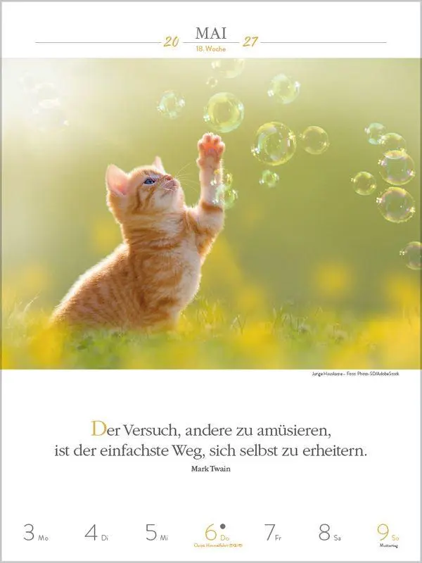 Bild: 9783819301179 | Literaturkalender Katzen 2027 | Korsch Verlag | Kalender | 54 S.