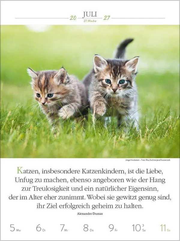 Bild: 9783819301179 | Literaturkalender Katzen 2027 | Korsch Verlag | Kalender | 54 S.