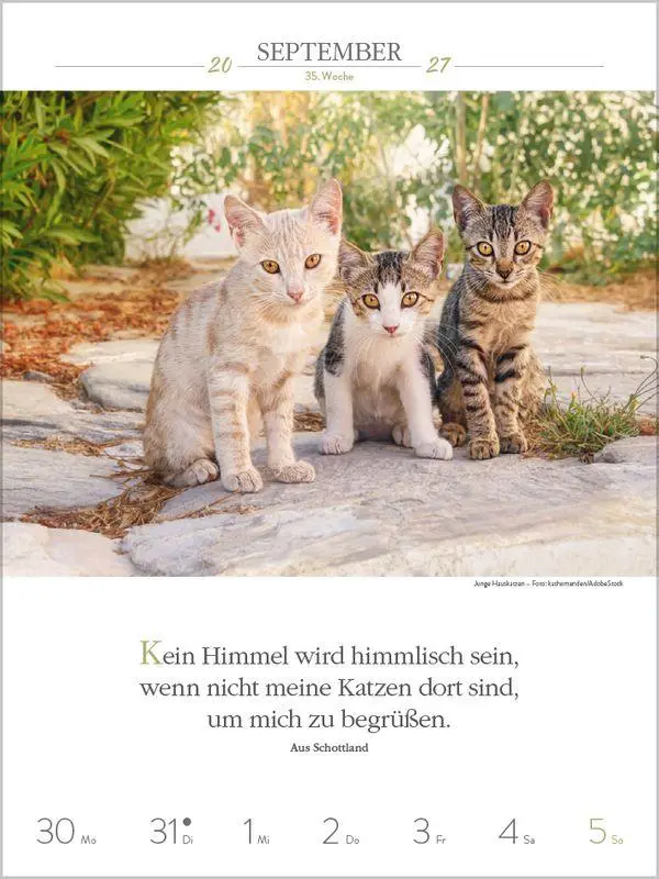 Bild: 9783819301179 | Literaturkalender Katzen 2027 | Korsch Verlag | Kalender | 54 S.