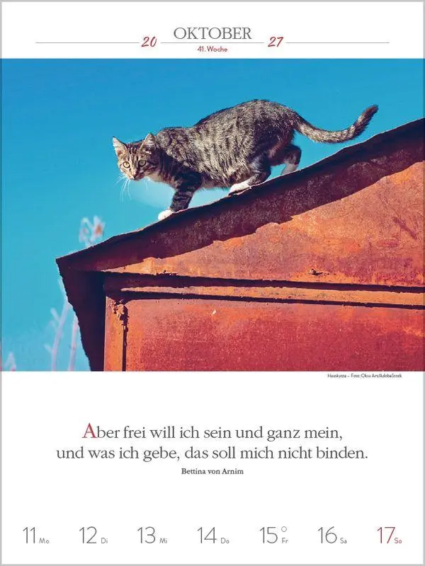 Bild: 9783819301179 | Literaturkalender Katzen 2027 | Korsch Verlag | Kalender | 54 S.