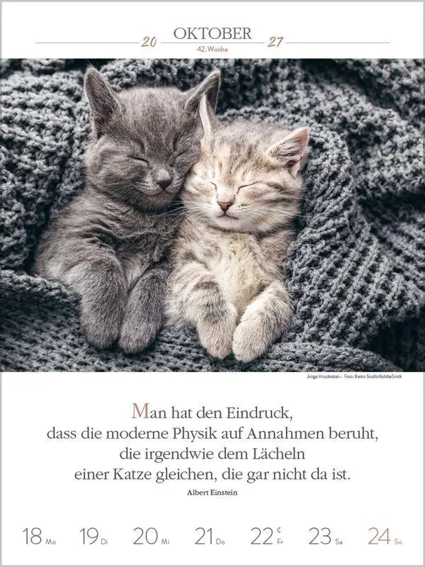Bild: 9783819301179 | Literaturkalender Katzen 2027 | Korsch Verlag | Kalender | 54 S.