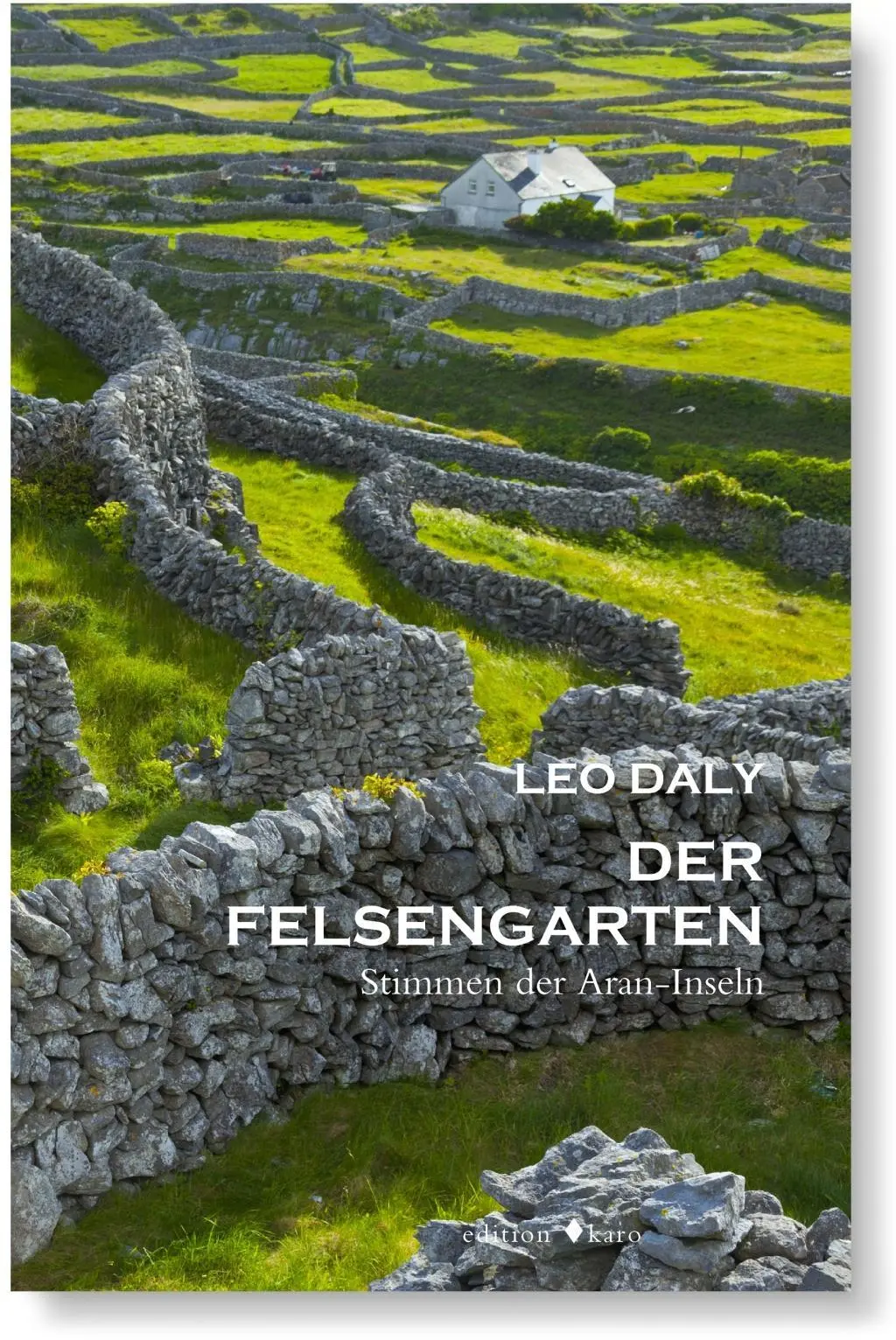 Cover: 9783945961179 | Der Felsengarten | Stimmen der Aran-Inseln - Roman | Leo Daly | Buch