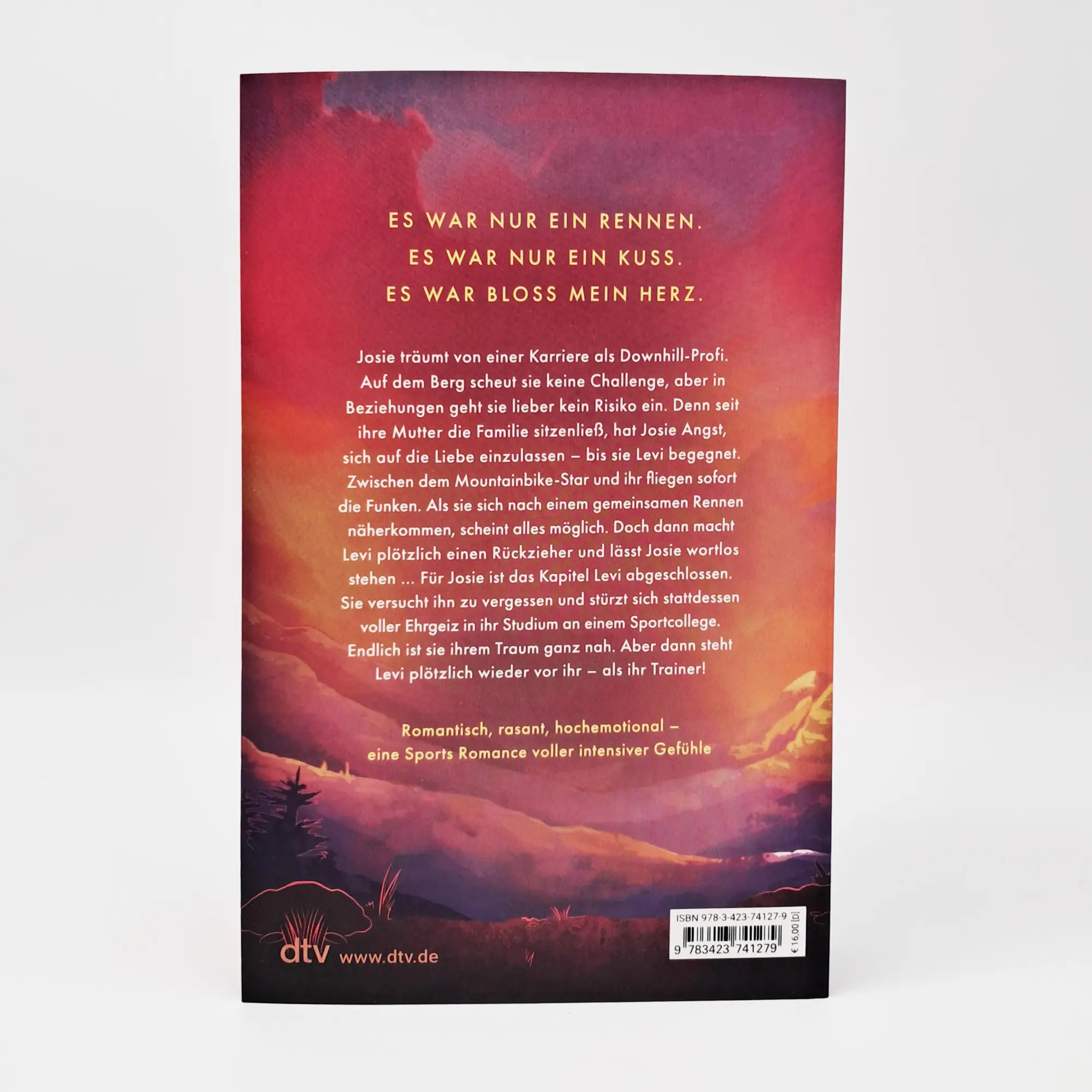 Bild: 9783423741279 | Downhill Dreams | Nadine Schojer | Taschenbuch | 416 S. | Deutsch