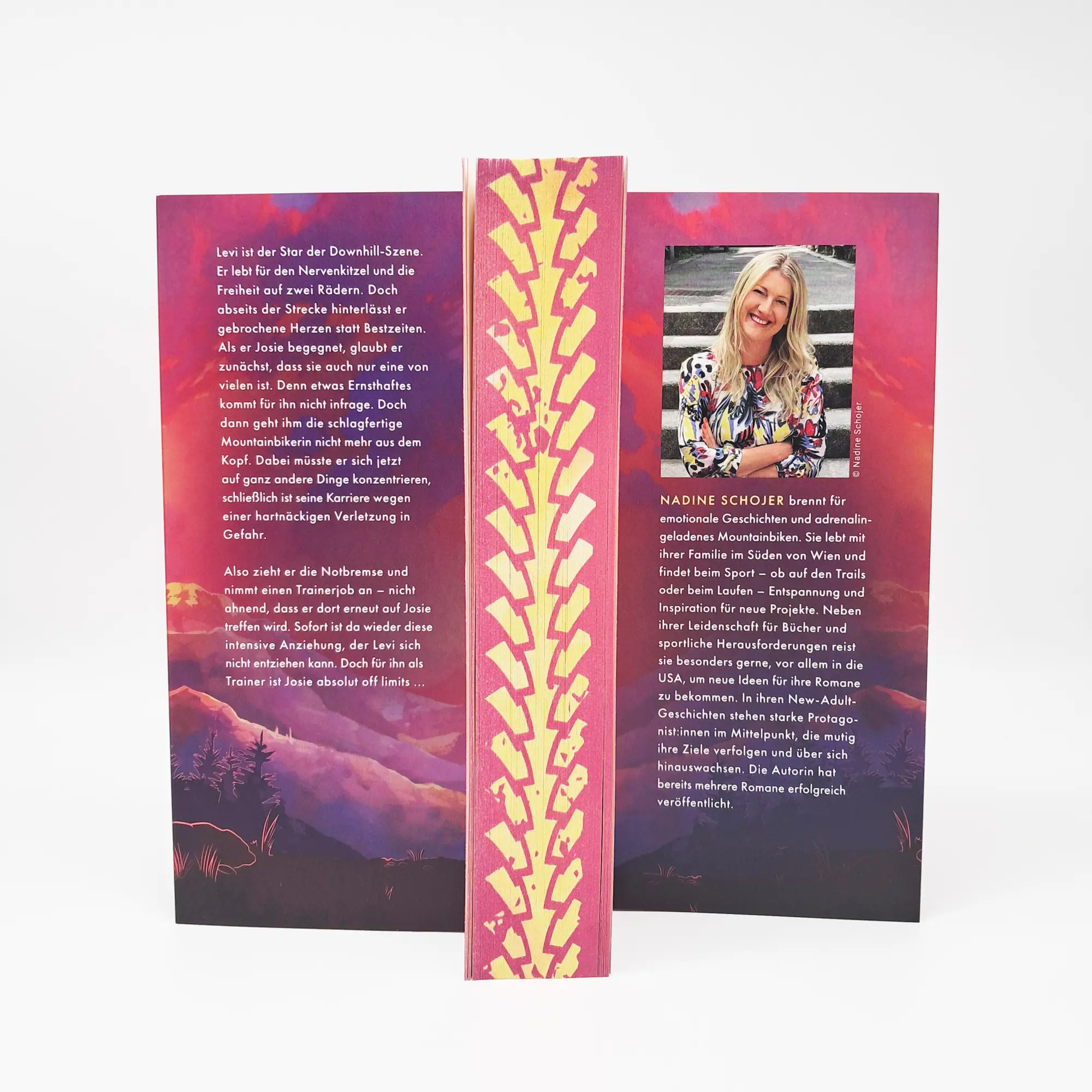 Bild: 9783423741279 | Downhill Dreams | Nadine Schojer | Taschenbuch | 416 S. | Deutsch