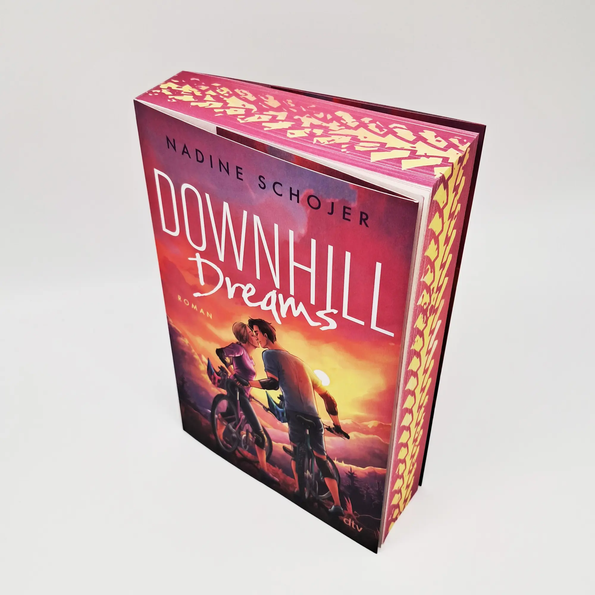 Bild: 9783423741279 | Downhill Dreams | Nadine Schojer | Taschenbuch | 416 S. | Deutsch