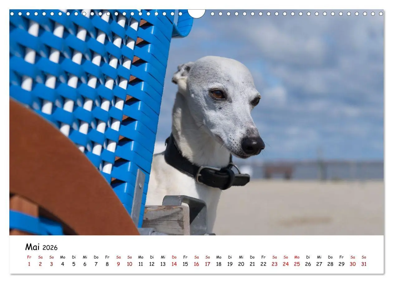 Bild: 9783457641279 | Strandurlaub mit Hund (Wandkalender 2026 DIN A3 quer), CALVENDO...