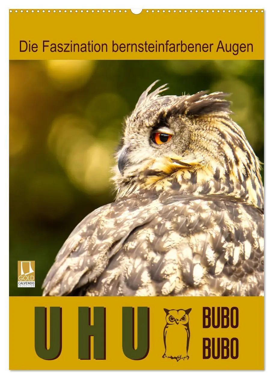 Cover: 9783516351279 | Uhu, die Faszination bernsteinfarbener Augen (Wandkalender 2026 DIN...