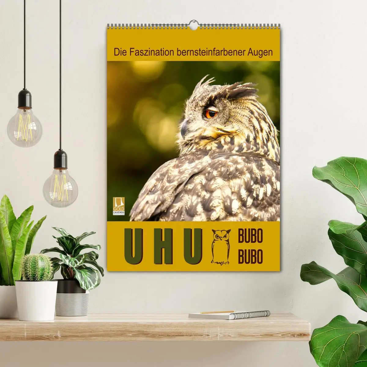 Bild: 9783516351279 | Uhu, die Faszination bernsteinfarbener Augen (Wandkalender 2026 DIN...