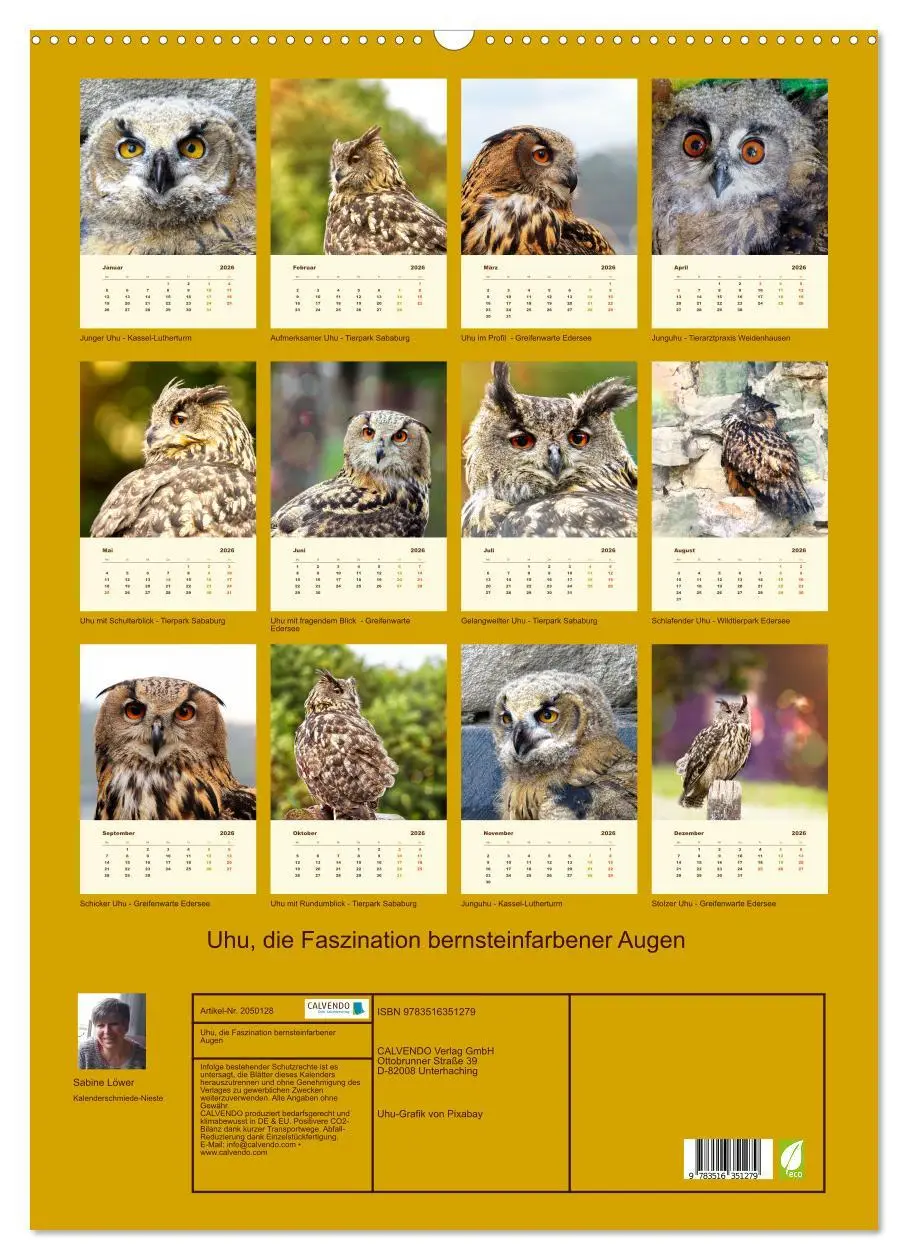 Bild: 9783516351279 | Uhu, die Faszination bernsteinfarbener Augen (Wandkalender 2026 DIN...