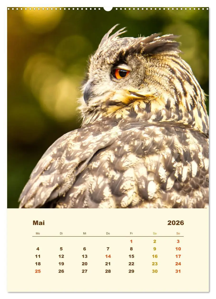 Bild: 9783516351279 | Uhu, die Faszination bernsteinfarbener Augen (Wandkalender 2026 DIN...