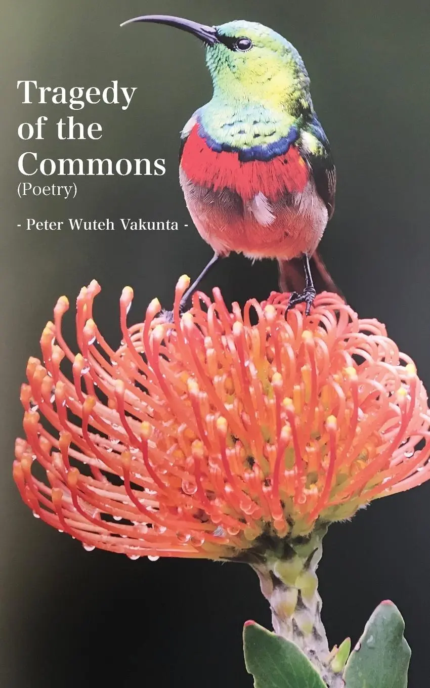 Cover: 9789956551279 | Tragedy of the Commons | Peter Wuteh Vakunta | Taschenbuch | Englisch