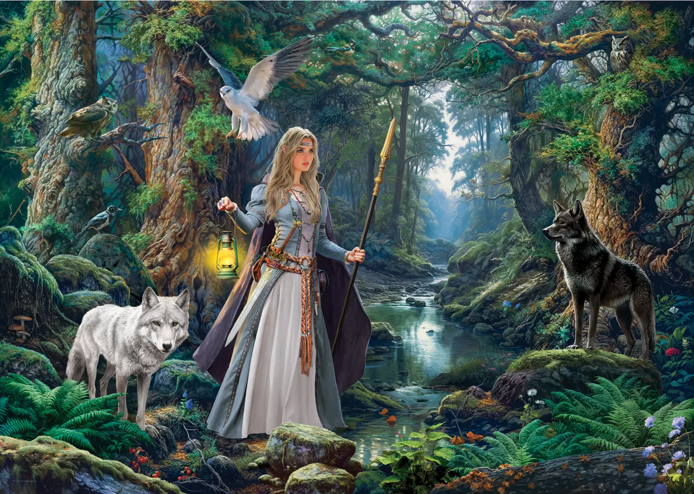 Bild: 628136661379 | Fantasiewald | Spiel | In Spielebox | 6000-6137 | Deutsch | 2026