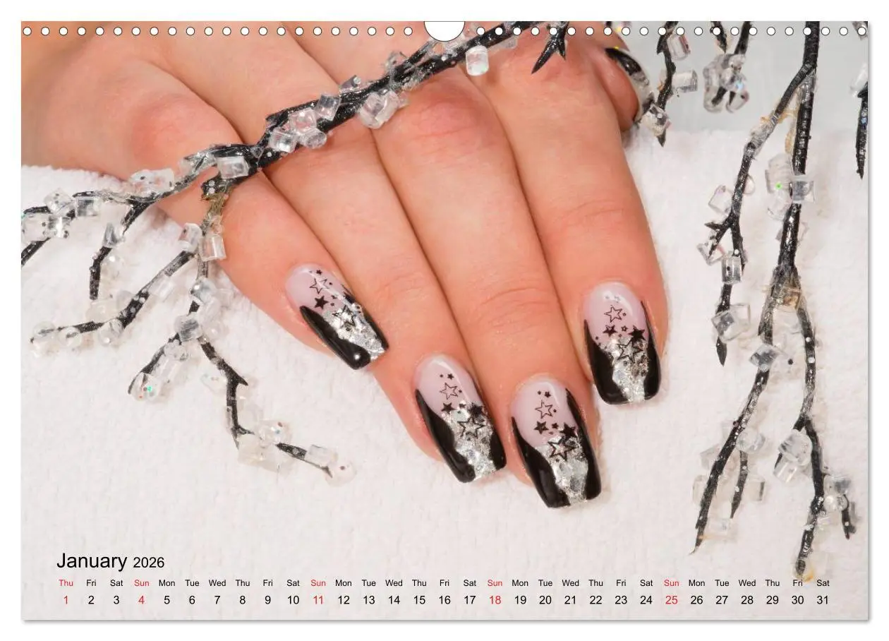 Bild: 9783516581379 | Transient Art - Nail Art Episode 1 (Wall Calendar 2026 DIN A3...