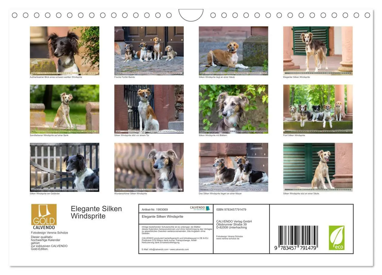 Bild: 9783457791479 | Elegante Silken Windsprite (Wandkalender 2026 DIN A4 quer),...