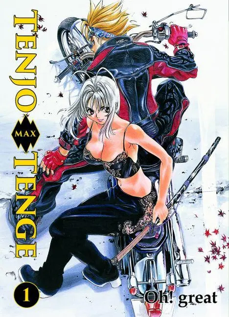 Cover: 9783957981479 | Tenjo Tenge Max 01 | Oh! great | Taschenbuch | 356 S. | Deutsch | 2014