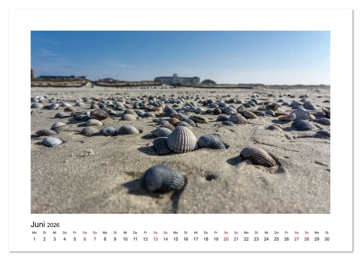 Bild: 9783516631579 | Juist Strandmomente (Wandkalender 2026 DIN A3 quer), CALVENDO...