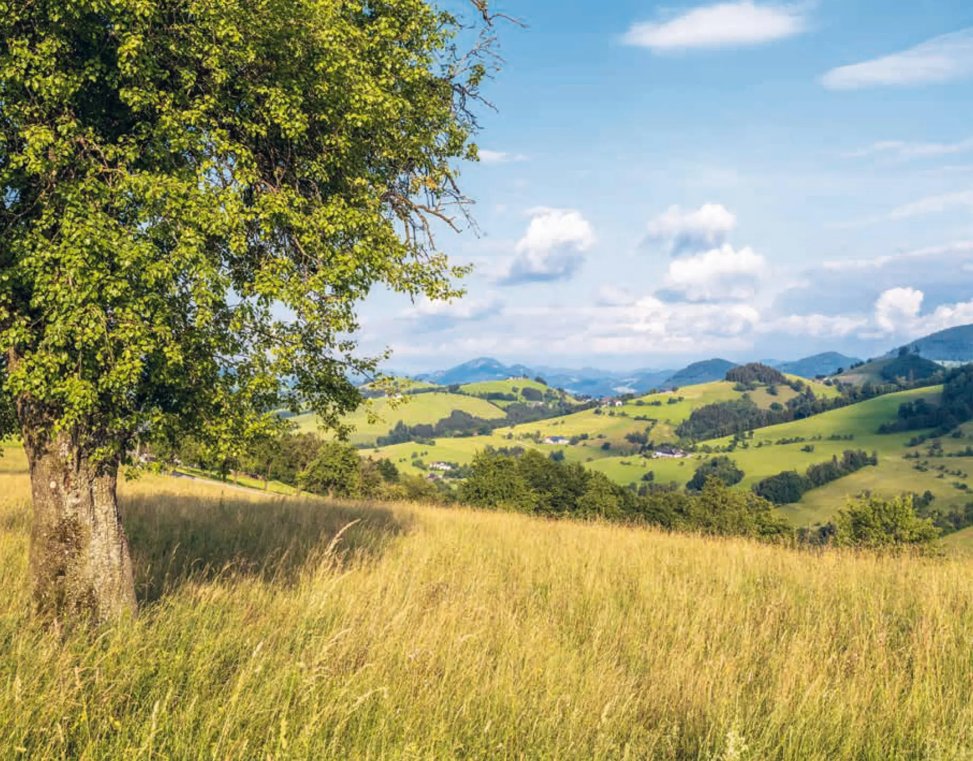 Bild: 9783702511579 | Wandern im Mostviertel: Vom Donaustrand zum Ötscherland | Franz Wille