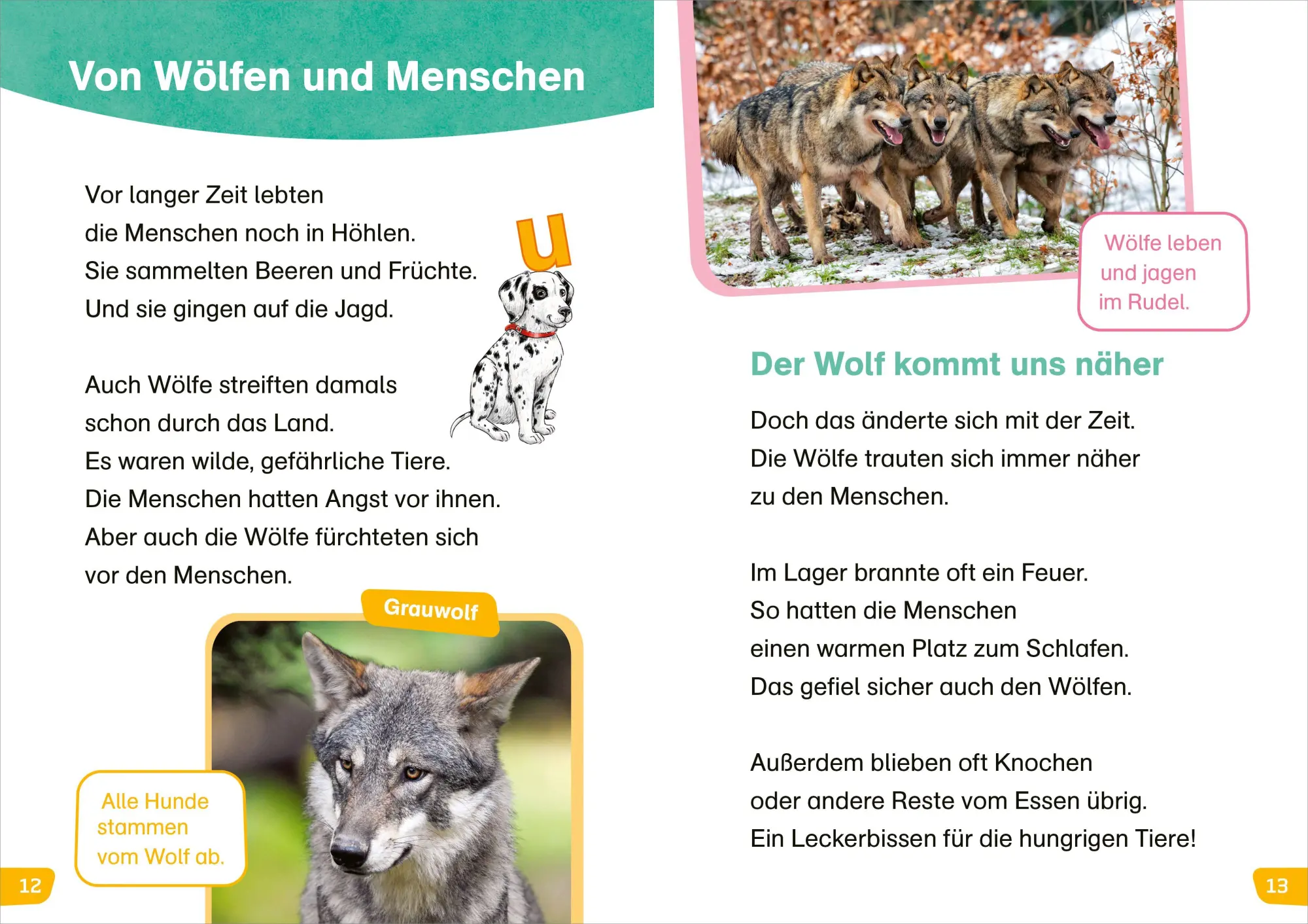 Bild: 9783788681579 | WAS IST WAS Erstes Lesen easy! Hunde - meine Lieblingstiere | Buch